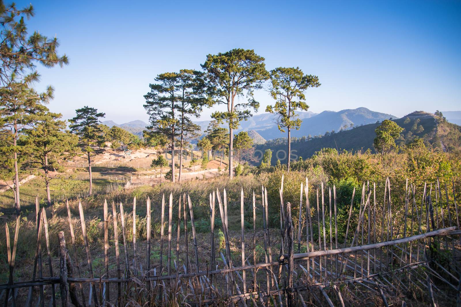 view point , doi angkhang , chiangmai , thailand by jakgree