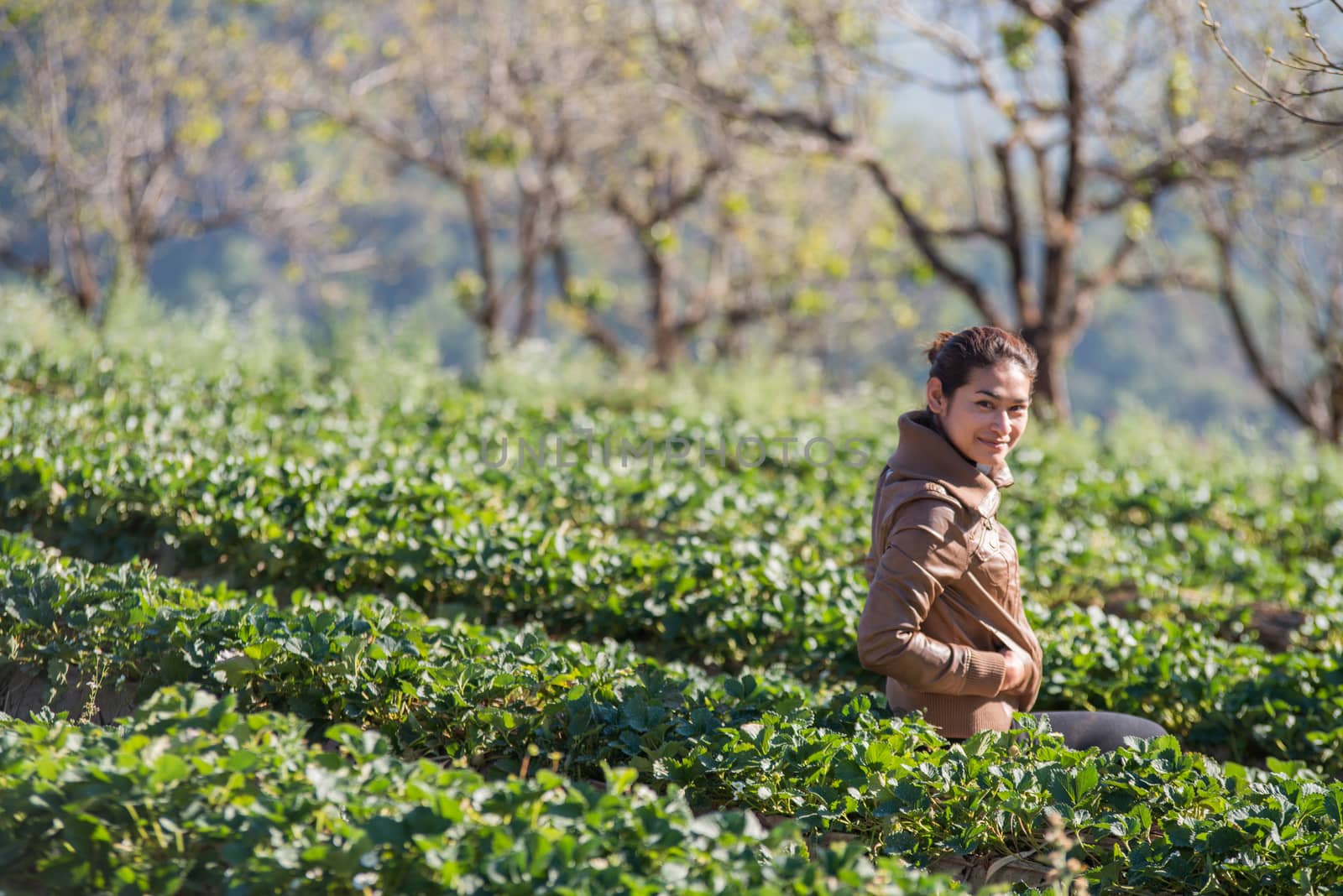 Asia girl at beautiful strawberry farm in the morning at Doi Ang by jakgree