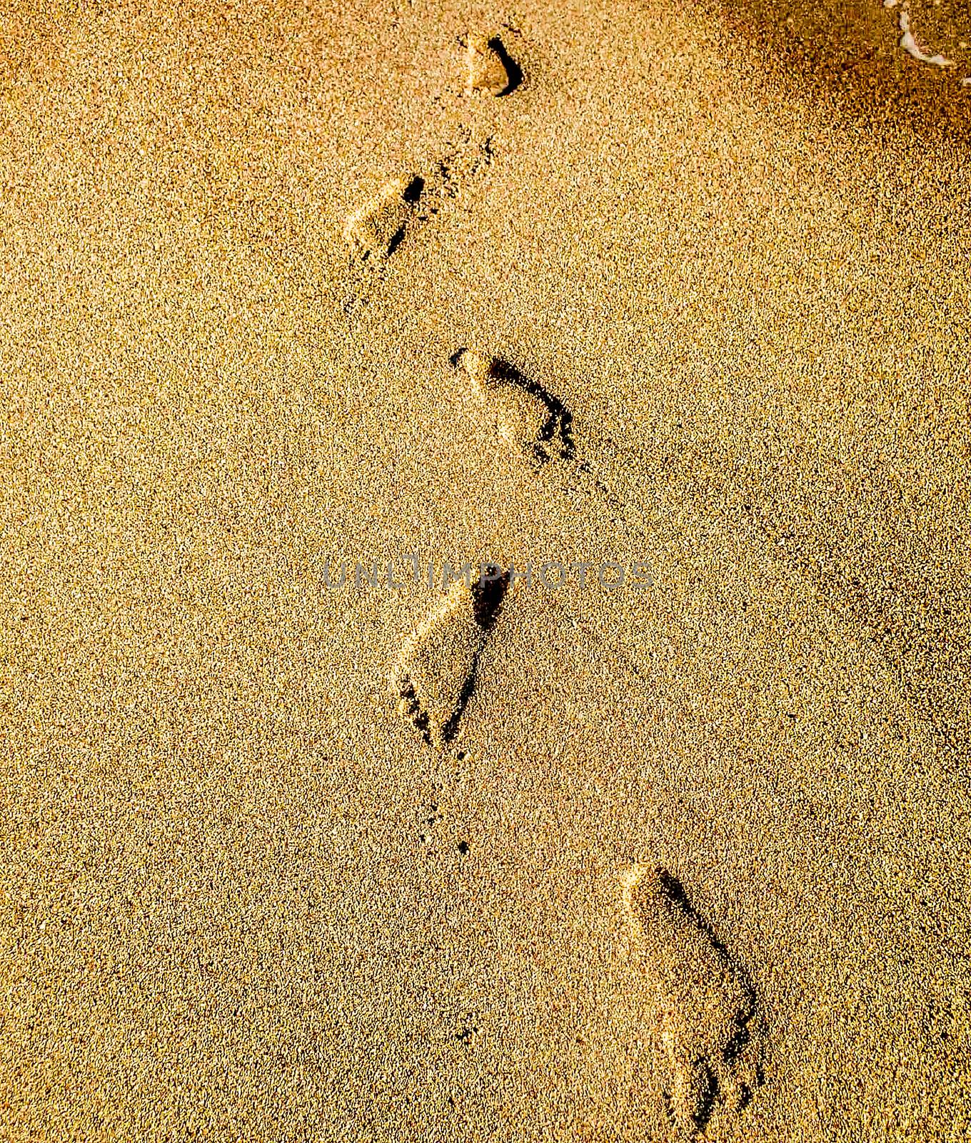 footprints in the sand at the beach