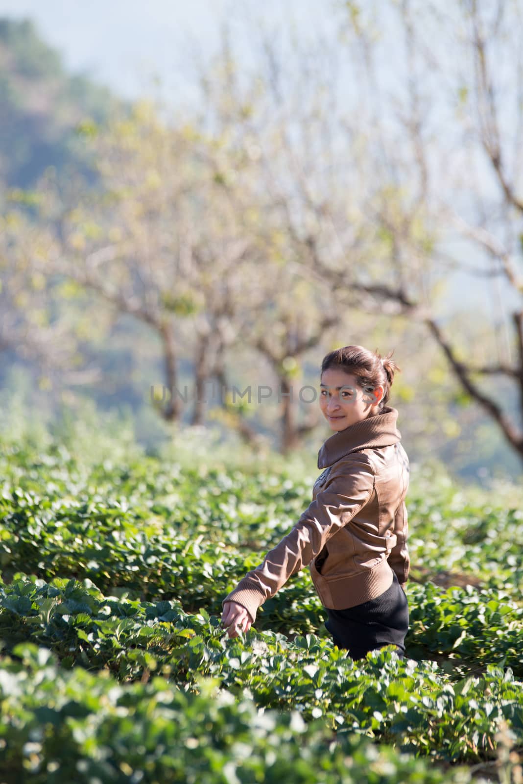 Asia girl at beautiful strawberry farm in the morning at Doi Ang by jakgree