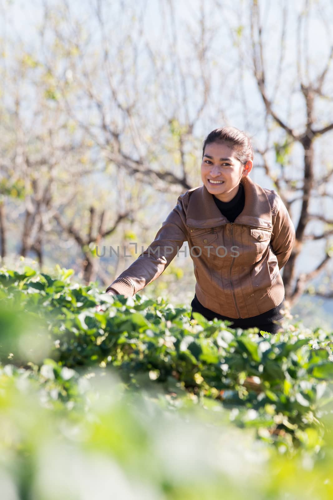 Asia girl at beautiful strawberry farm in the morning at Doi Angkhang ,Chiangmai Thailand