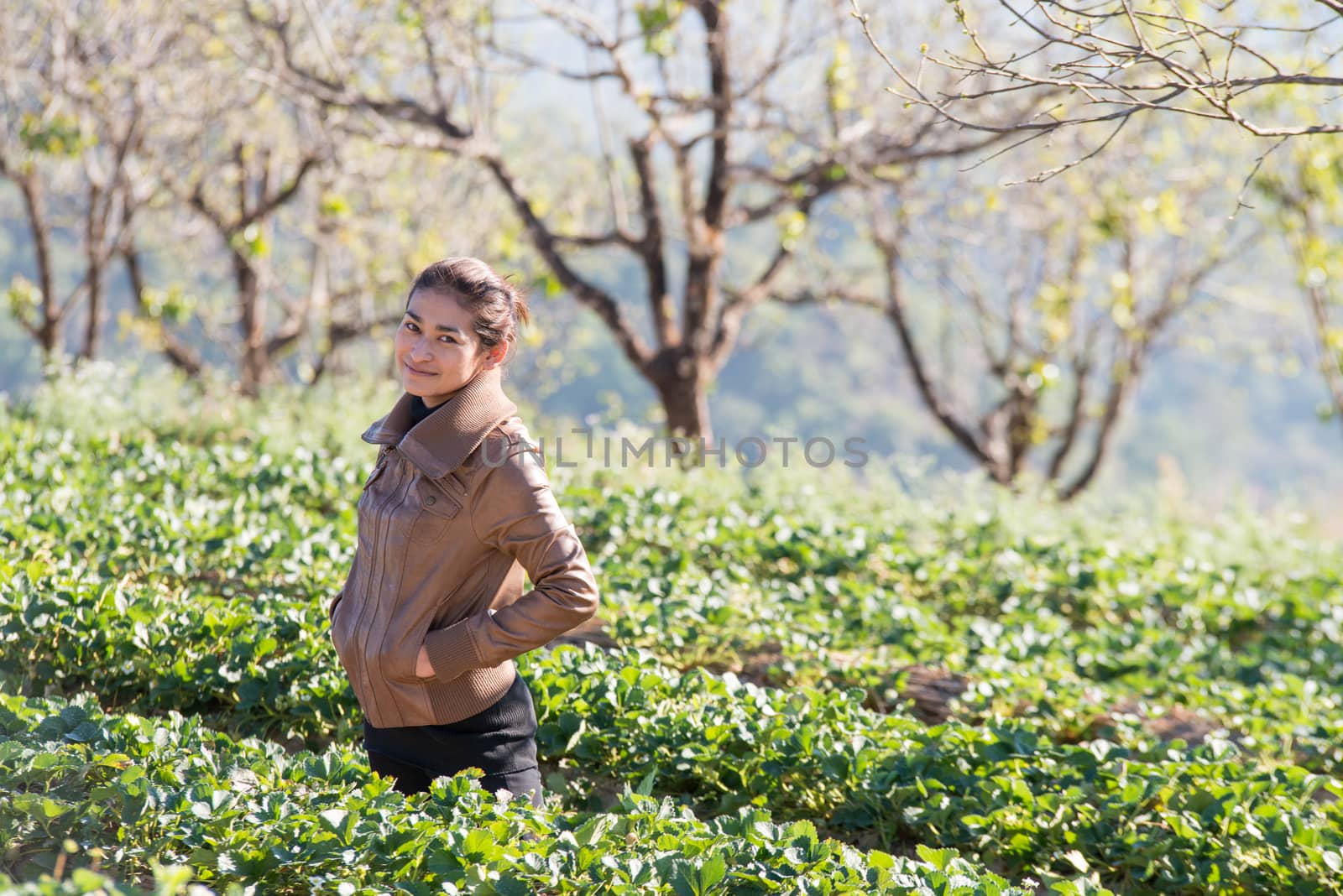 Asia girl at beautiful strawberry farm in the morning at Doi Angkhang ,Chiangmai Thailand