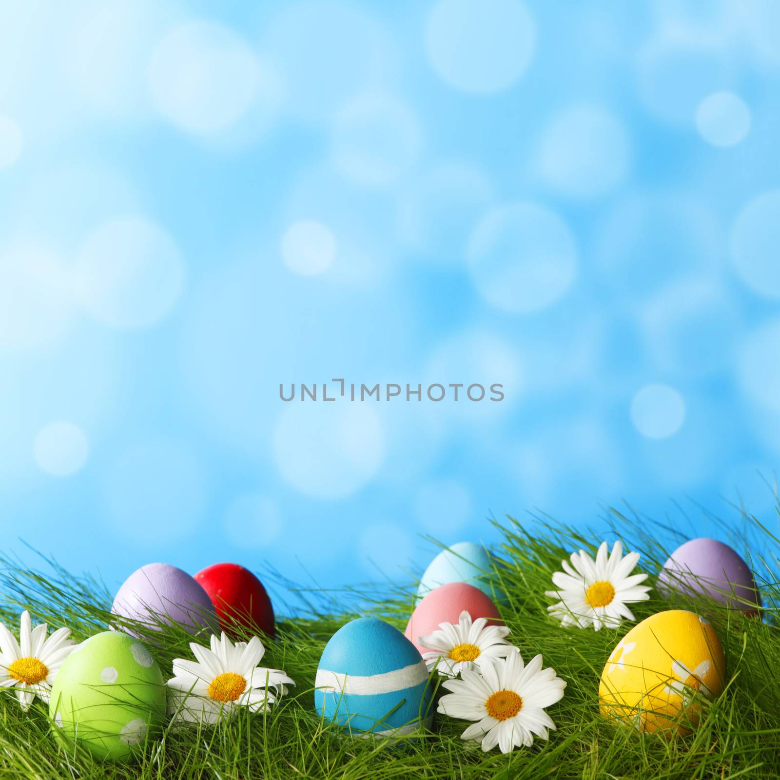 Easter Greeting Card by Yellowj