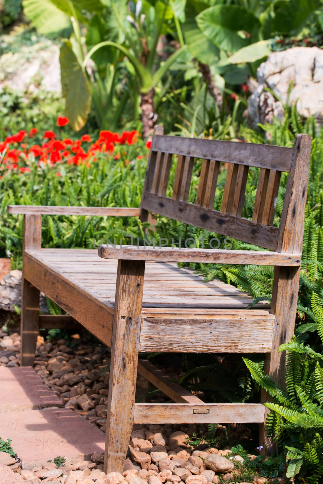 Lonely bench in the park by jakgree