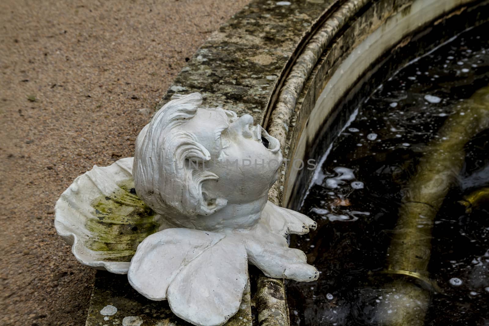 Ornamental fountains of the Palace of Aranjuez, Madrid, Spain by FernandoCortes