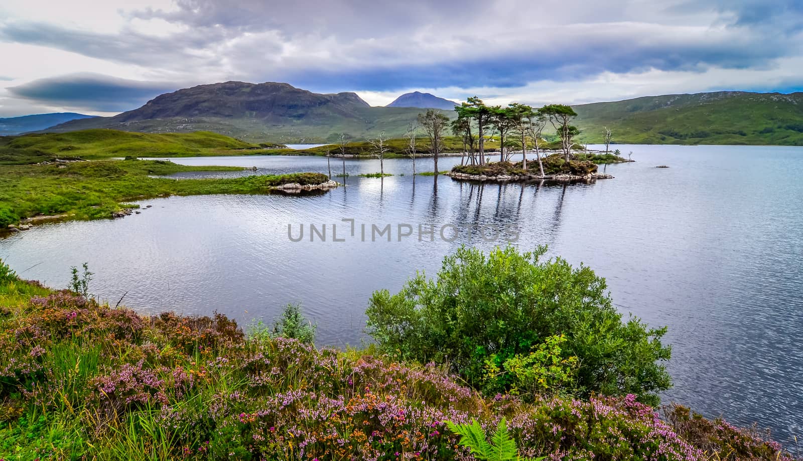 Landscape view of trees in a lake at Scottish highlands by martinm303