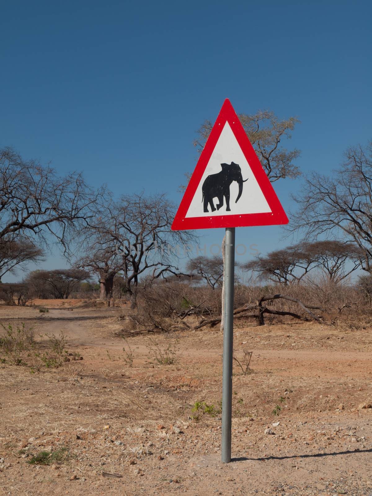 Beware of elephants - transportation sign