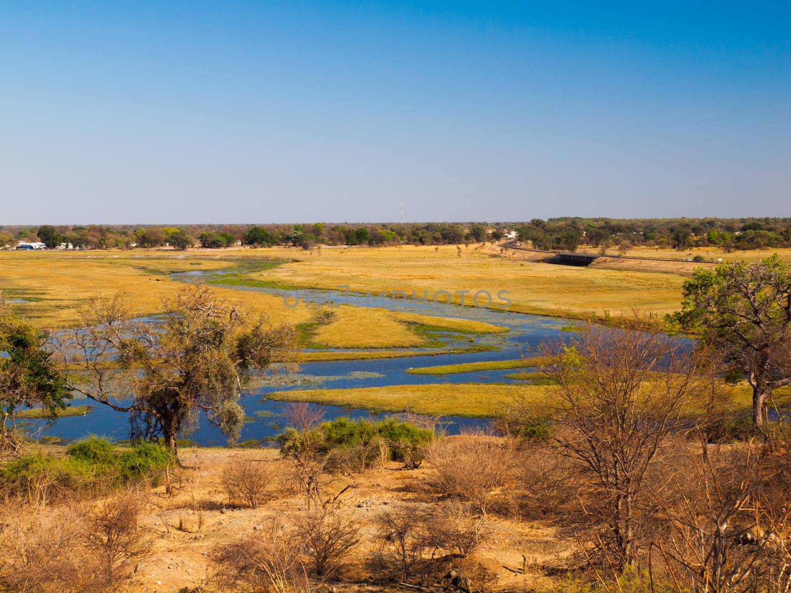 Chobe river by pyty