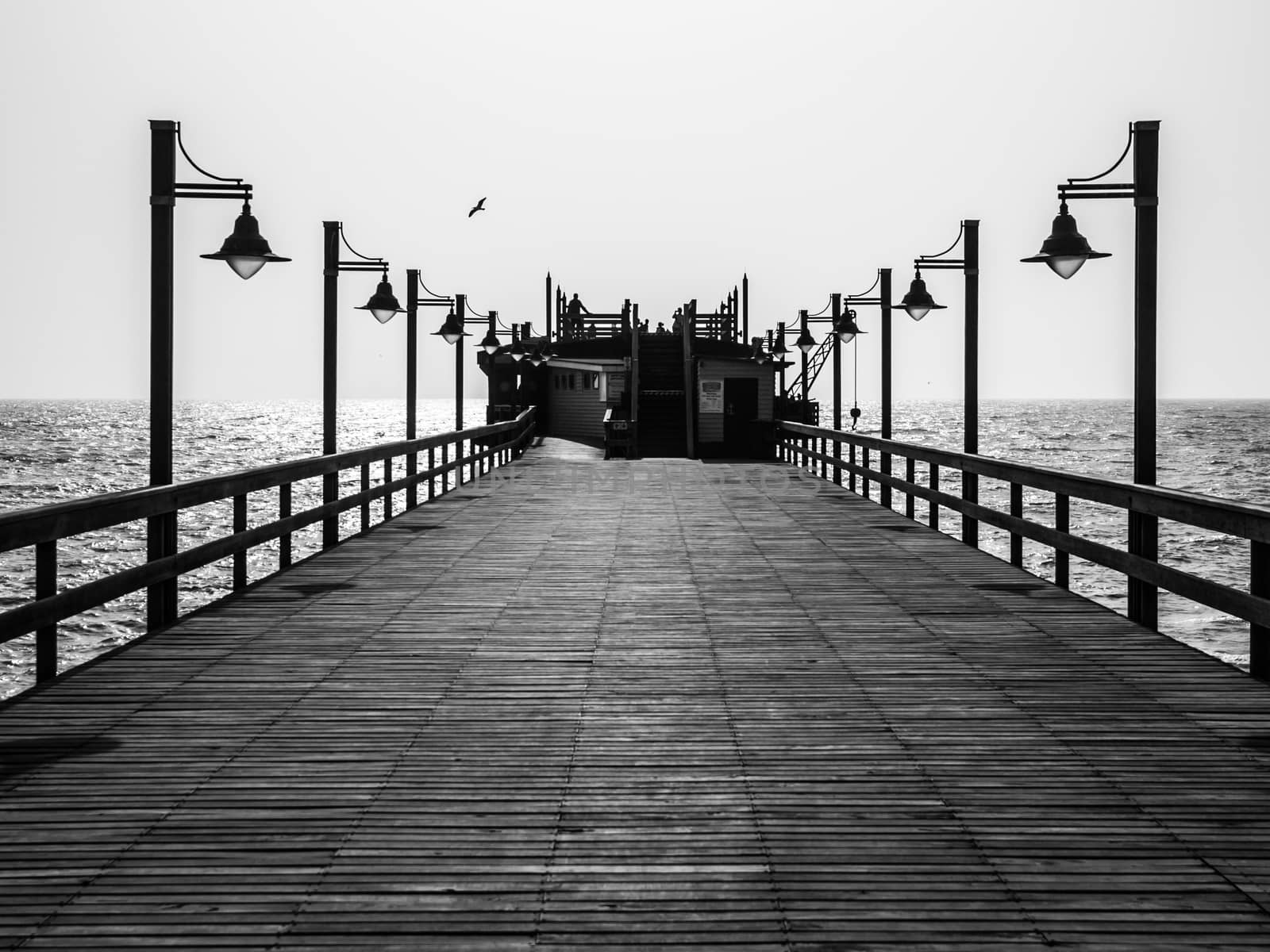 Pier with lamps in black and white by pyty