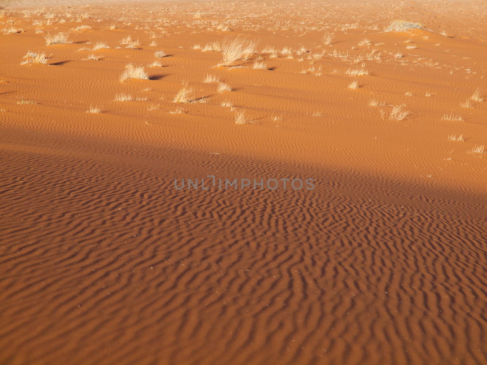 Red sand in Namid desert by pyty