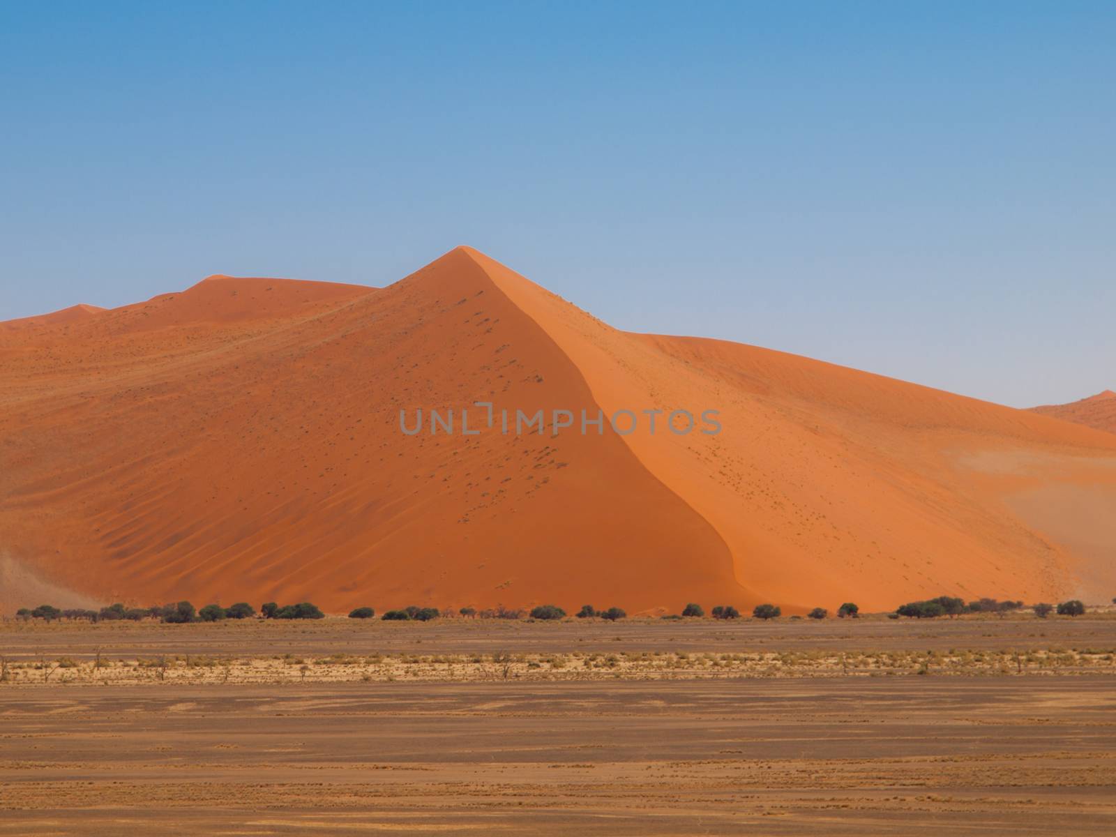 Red dune of Namid desert on the way to Sossusvlei (Namibia) Red dune of Namid desert (Namibia)