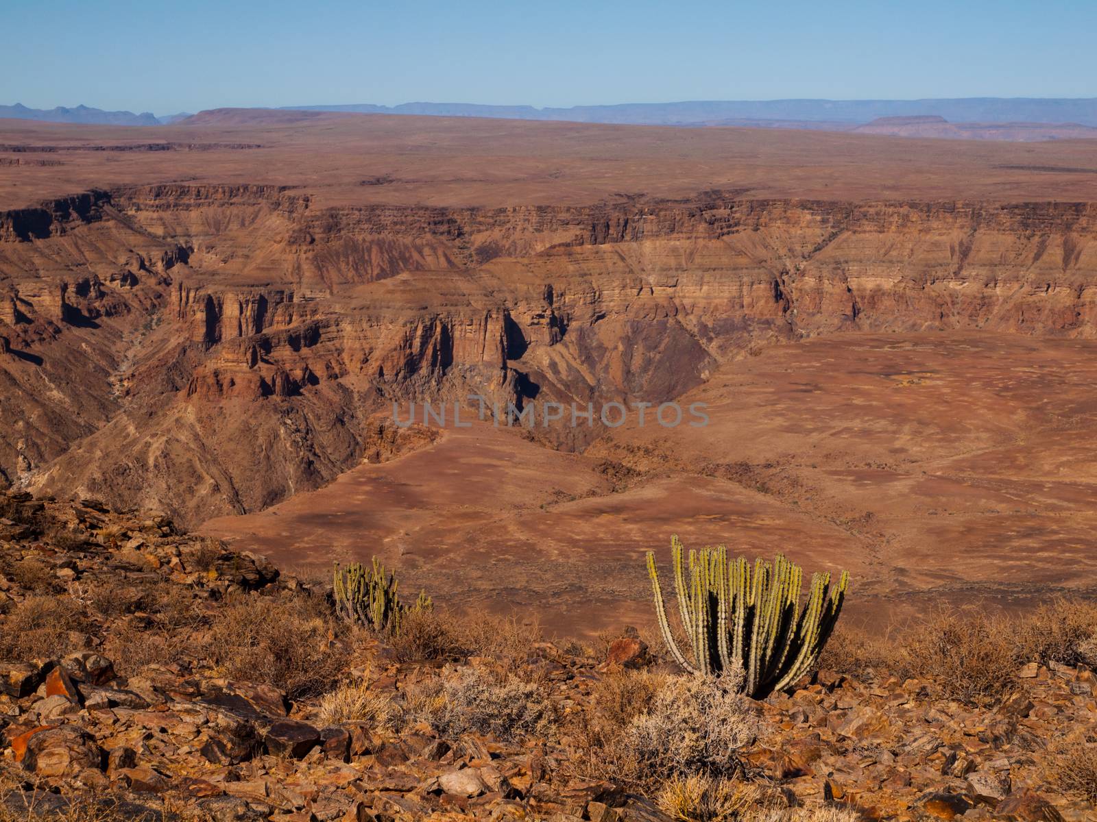 Fish River Canyon with cactus - The second largest canyon in the world (Namibia)