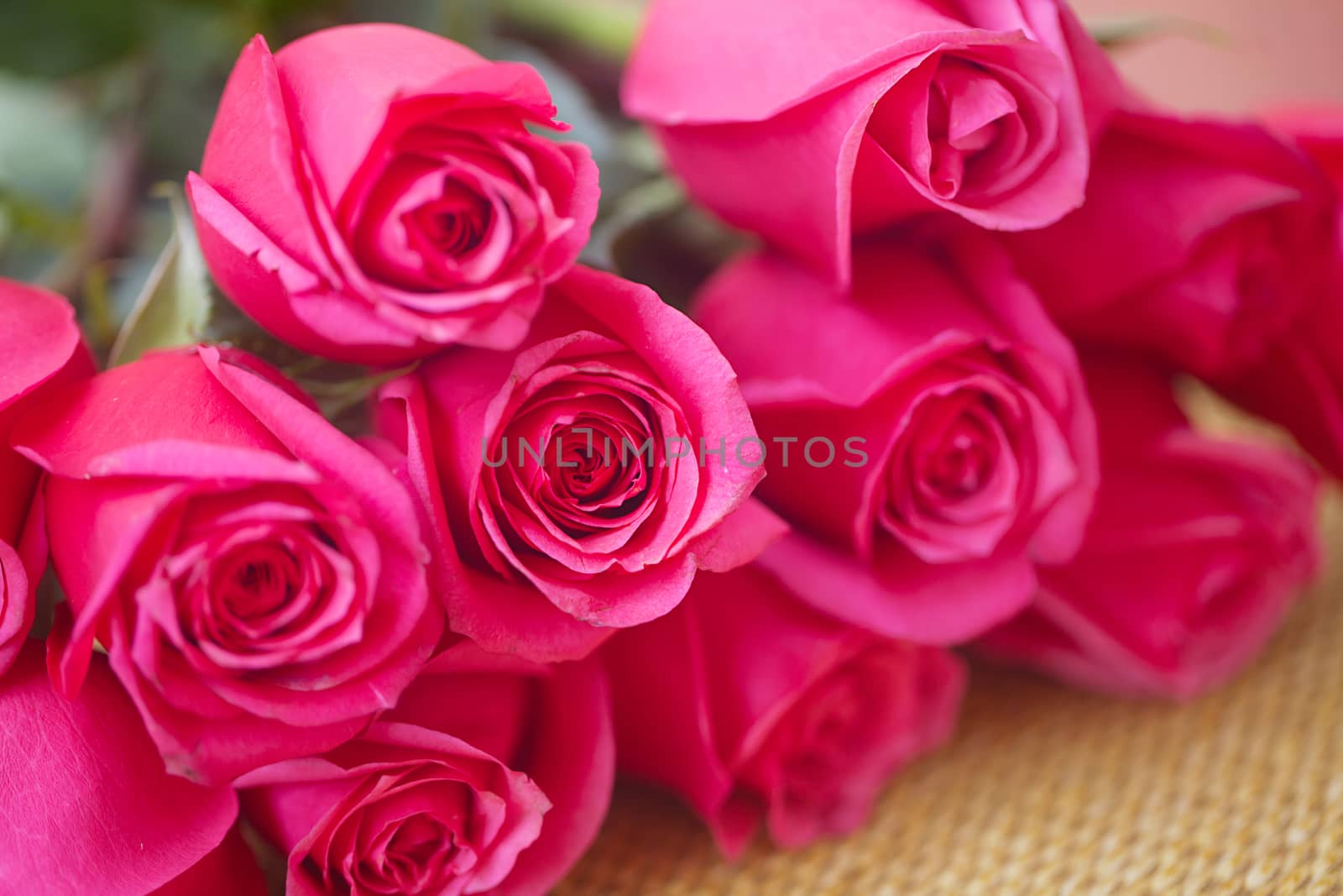 beautiful bouquet of pink roses by jannyjus