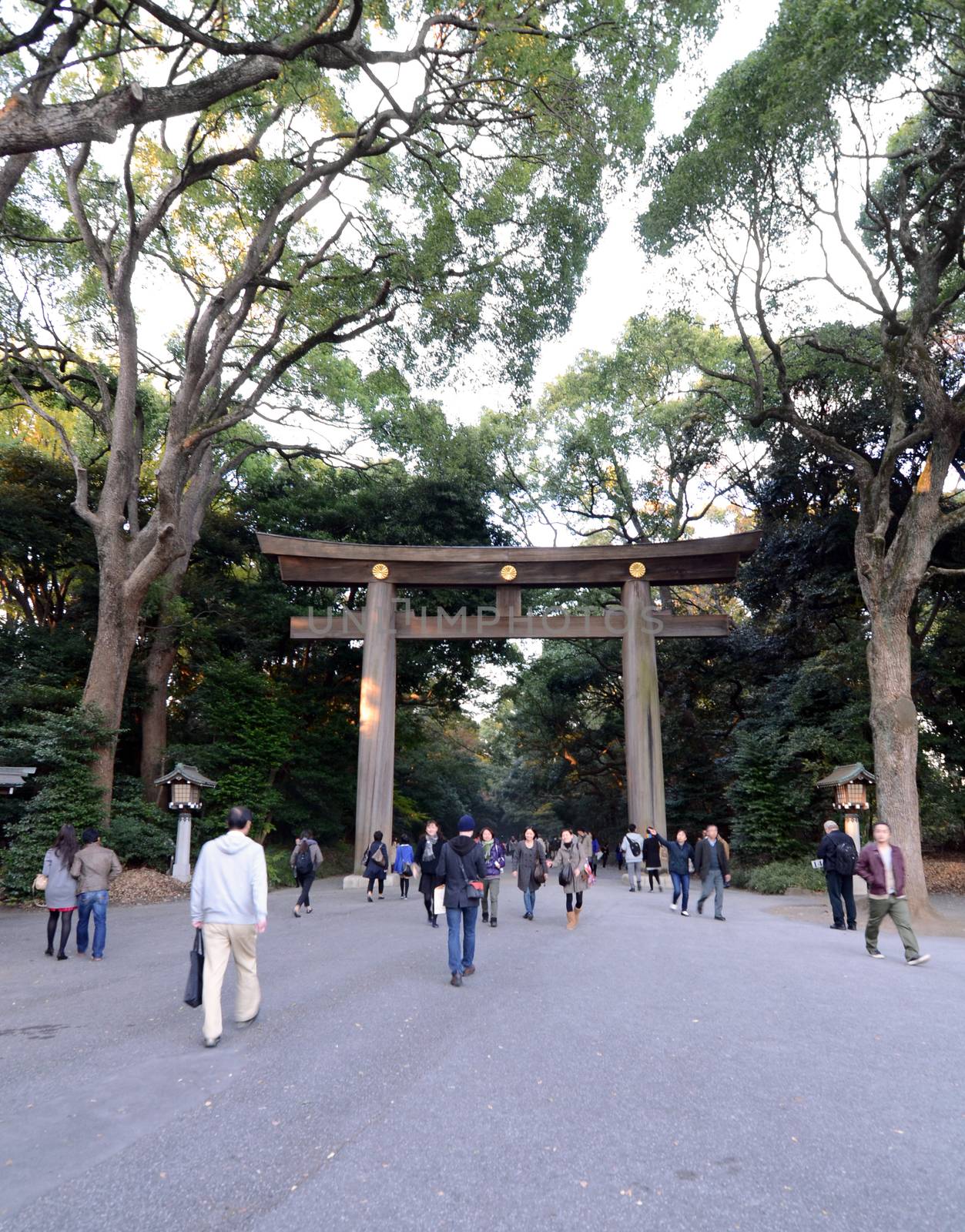 TOKYO - NOV 23: The Torii Gate standing at the entrance to Meiji Jingu Shrine Yoyogi Park on 2013 November 23, Tokyo Japan.