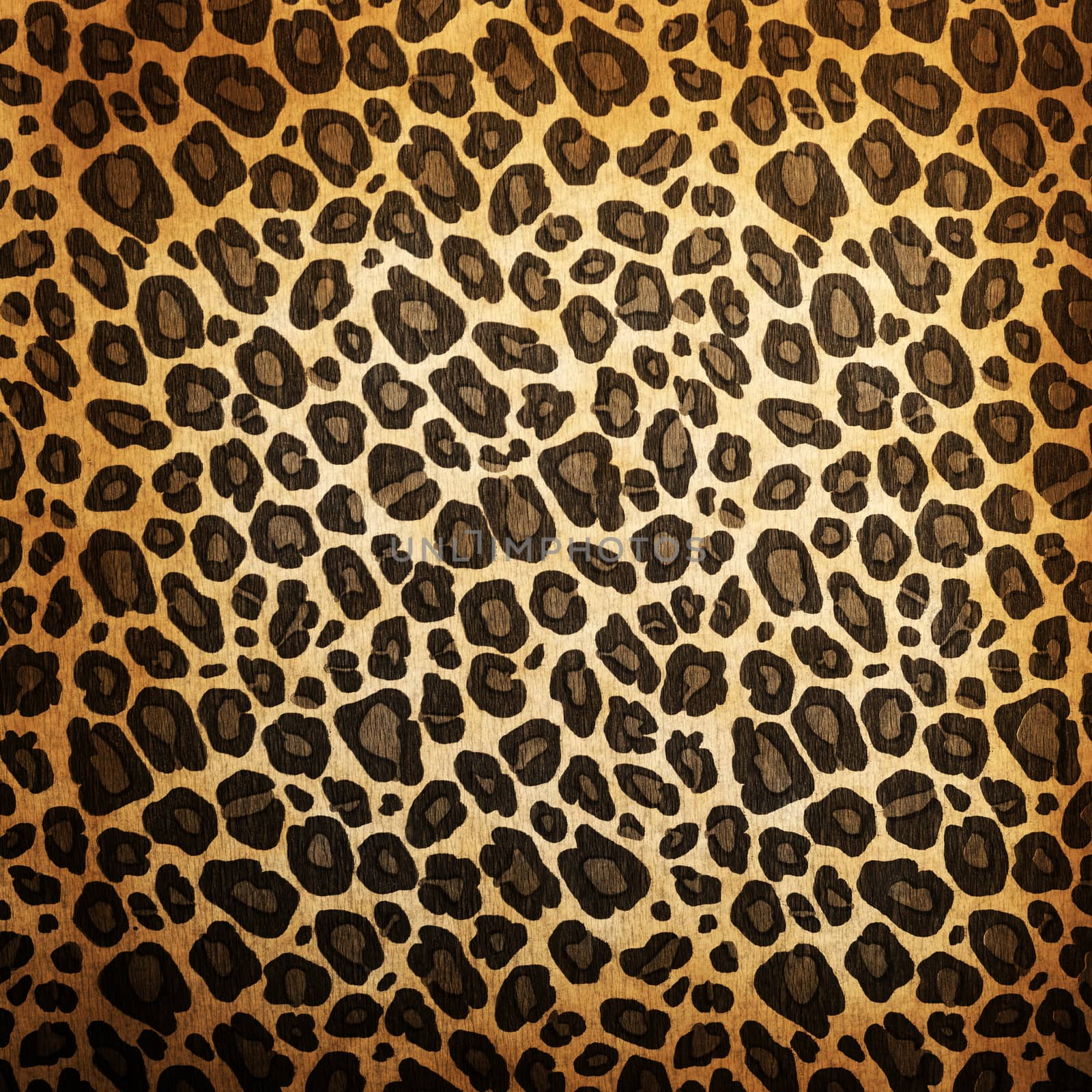 Leopard pattern by kwasny221