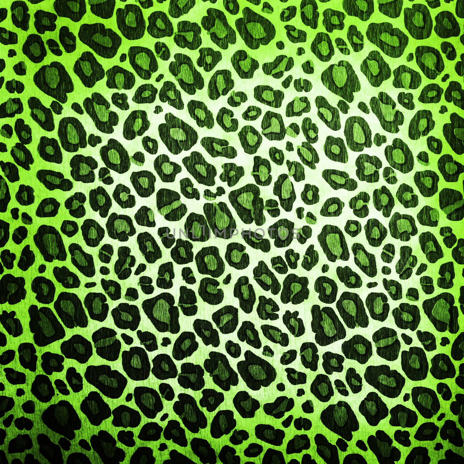 Leopard pattern by kwasny221