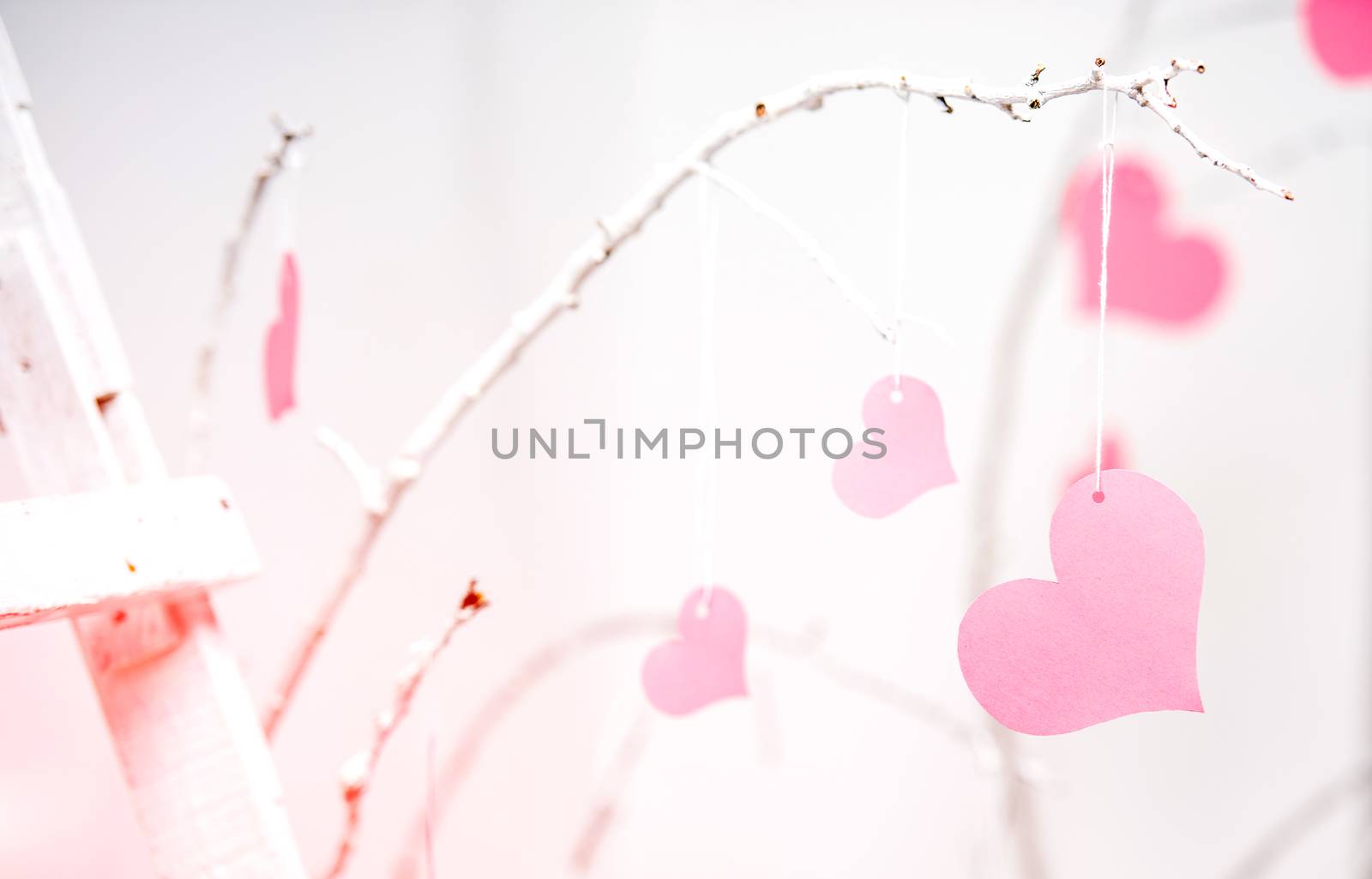 pink hearts hanging on a tree
