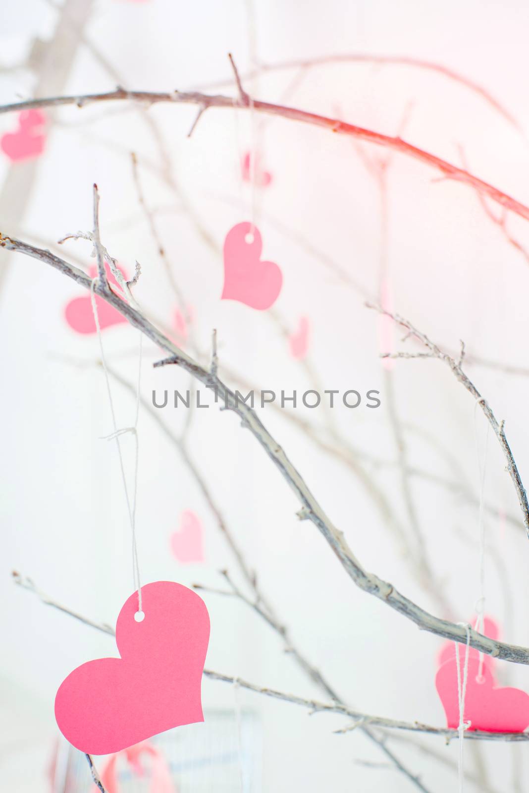 pink hearts hanging on a tree branches