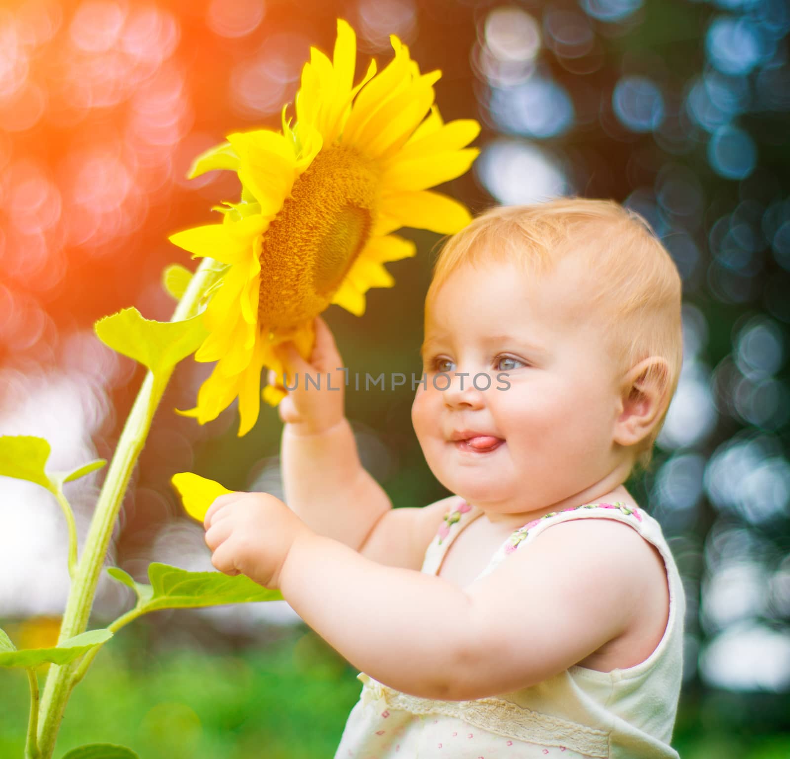 Smiling baby with sunflower on summer field