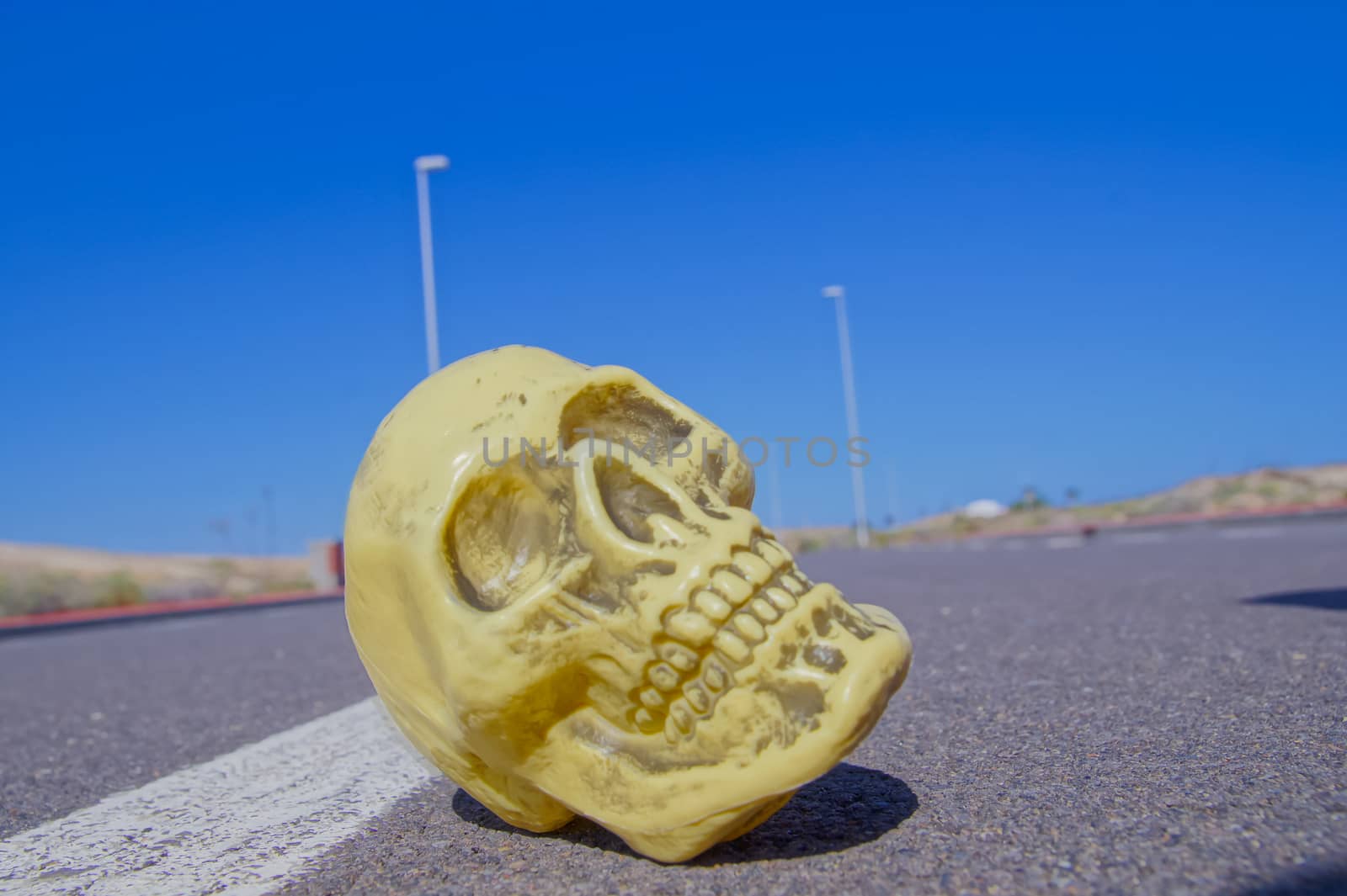 Road Death Concept Skull on the Asphalt Street