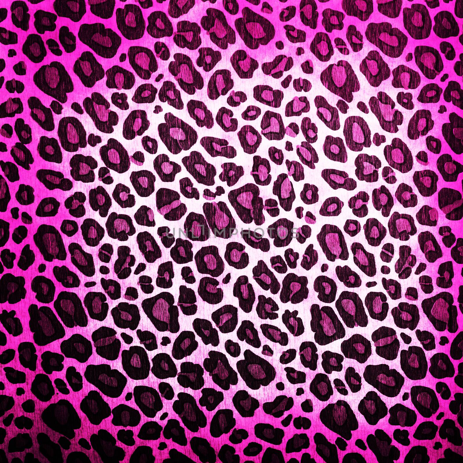 Leopard pattern background or texture close up