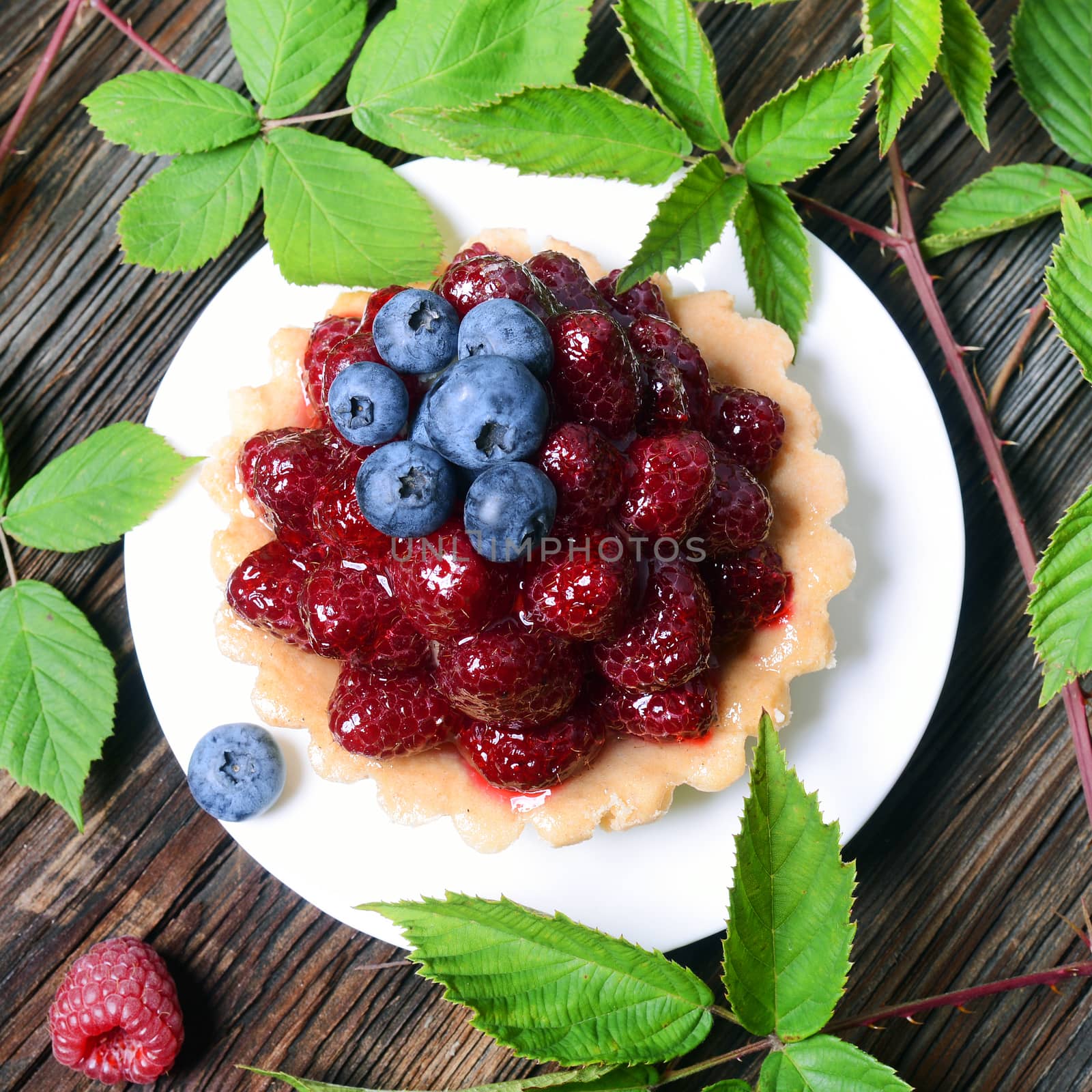 Tasty cupcake with forest fruits