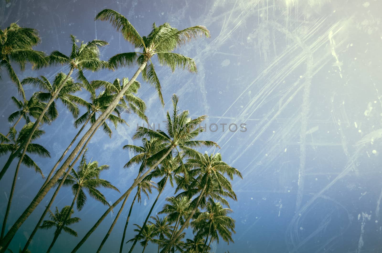 Aged Retro Worn Vintage Photo Of Tropical Palm Trees With Copy Space