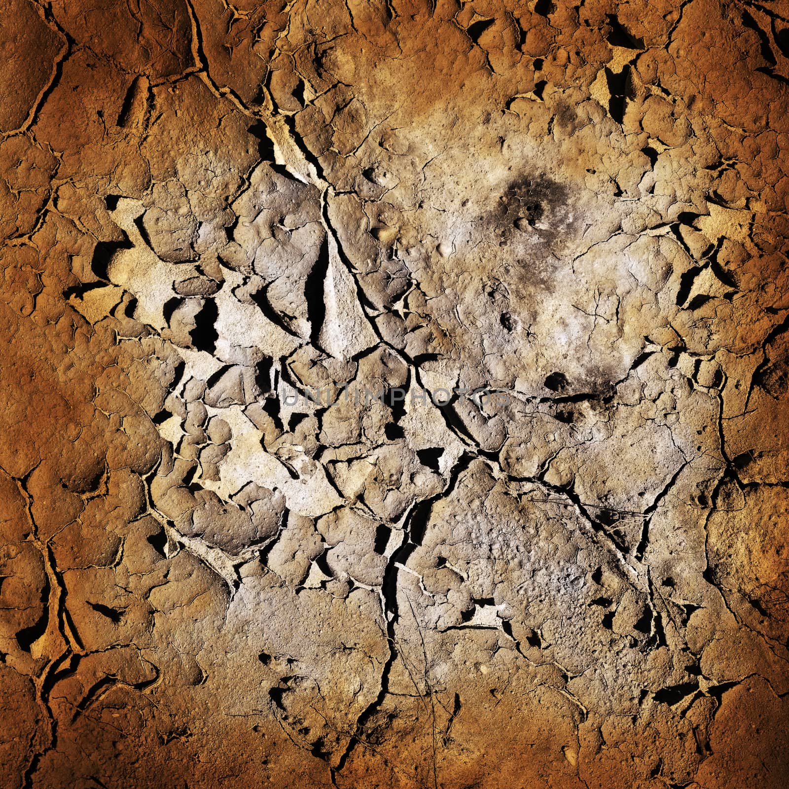 Cracked earth background or texture