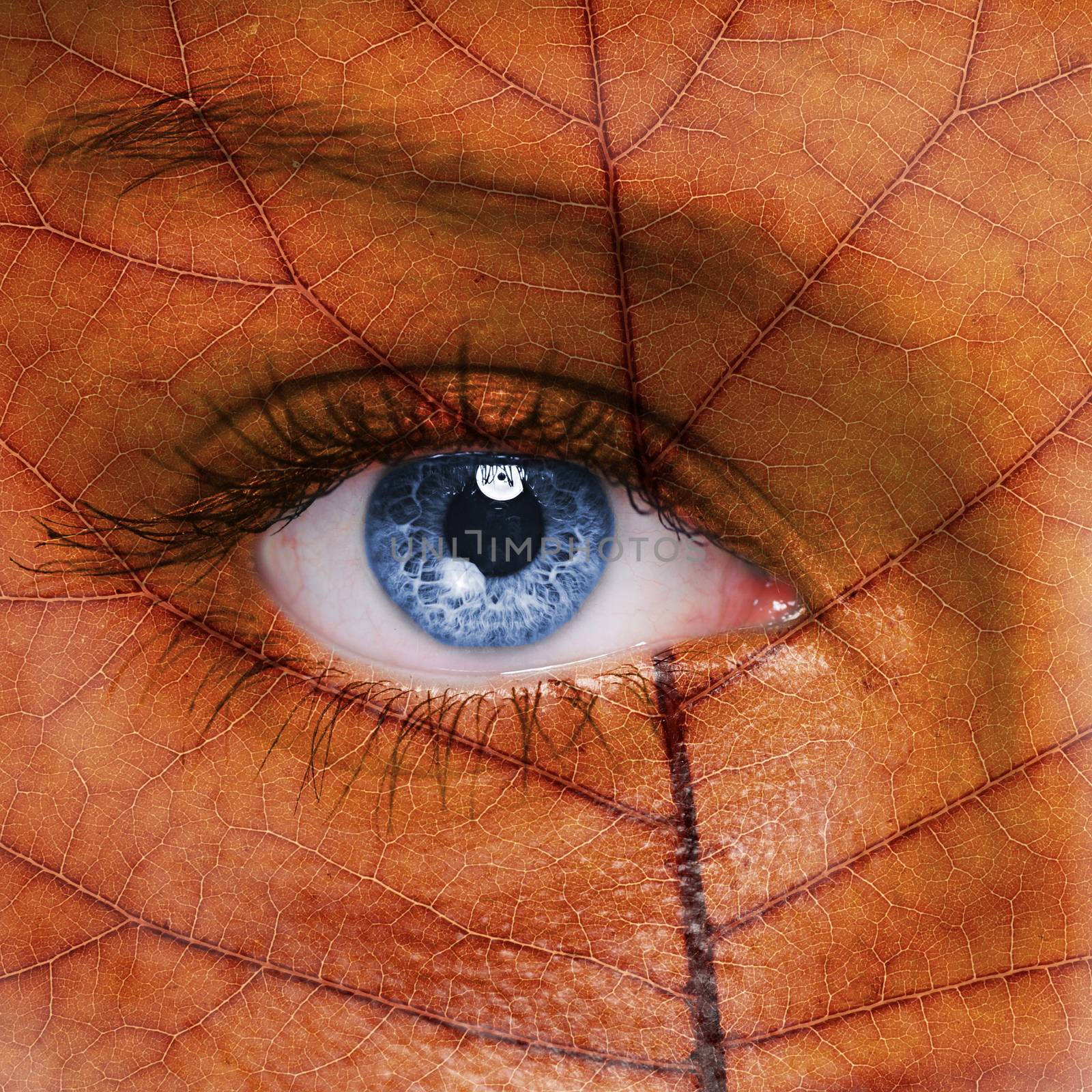 Woman face with autumn leaf texture 