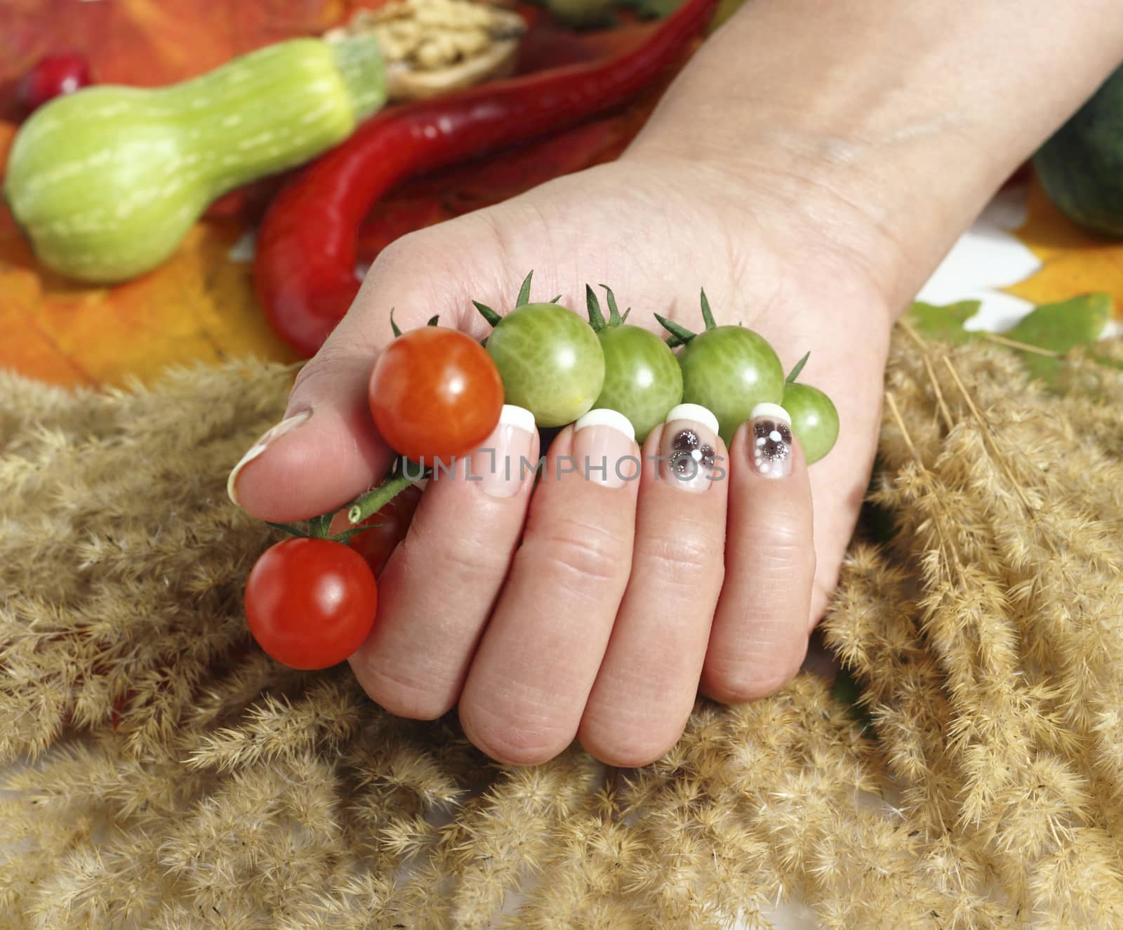 cherry tomatoes and hand of a woman near other vegetables
