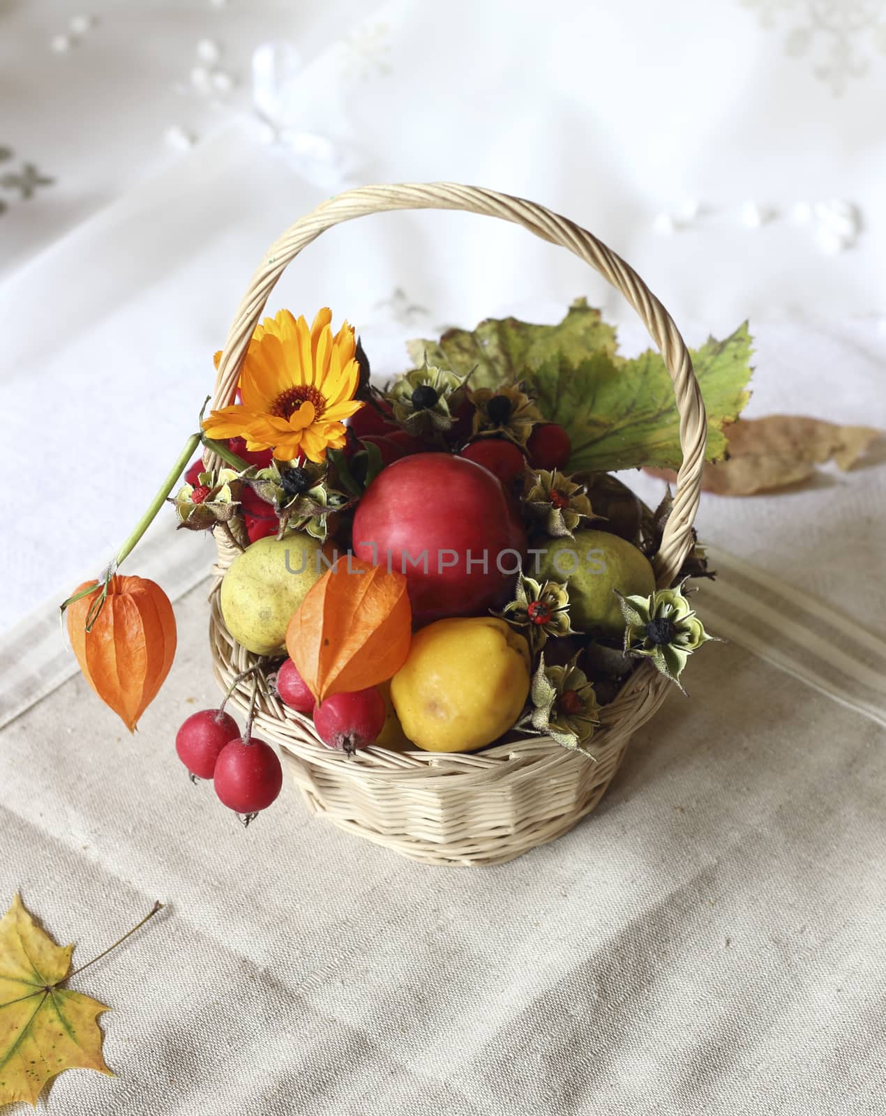 basket of organically reared autumn goodies