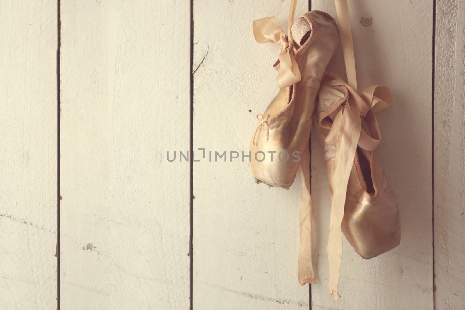 Romantic Posed Pointe Shoes in Natural Light 