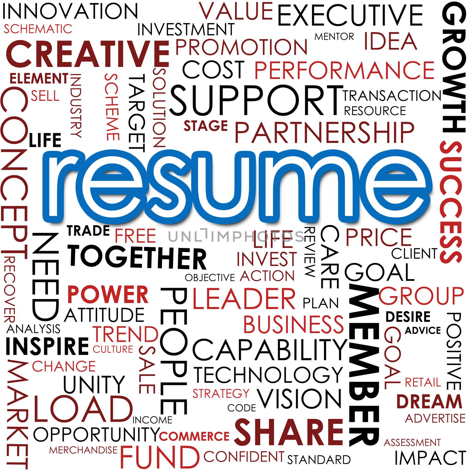 Resume word cloud