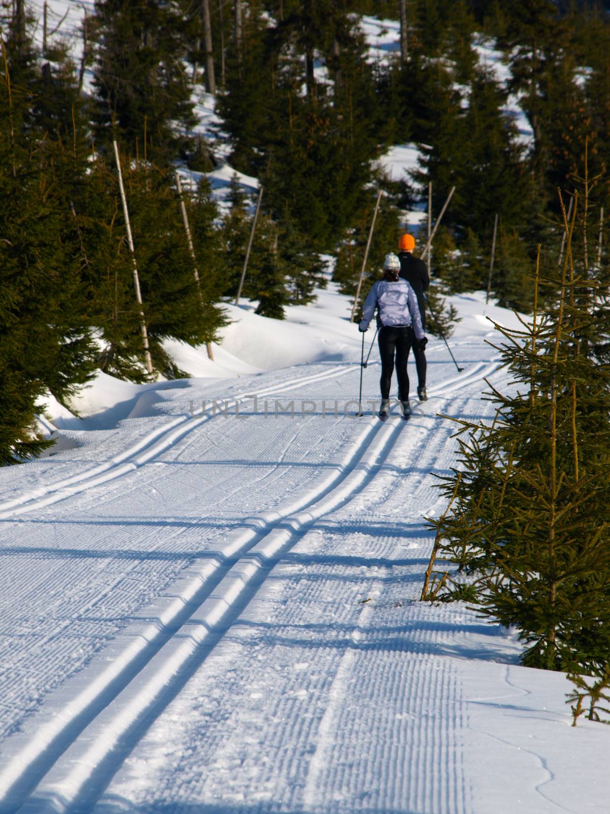 Cross country skiers by pyty