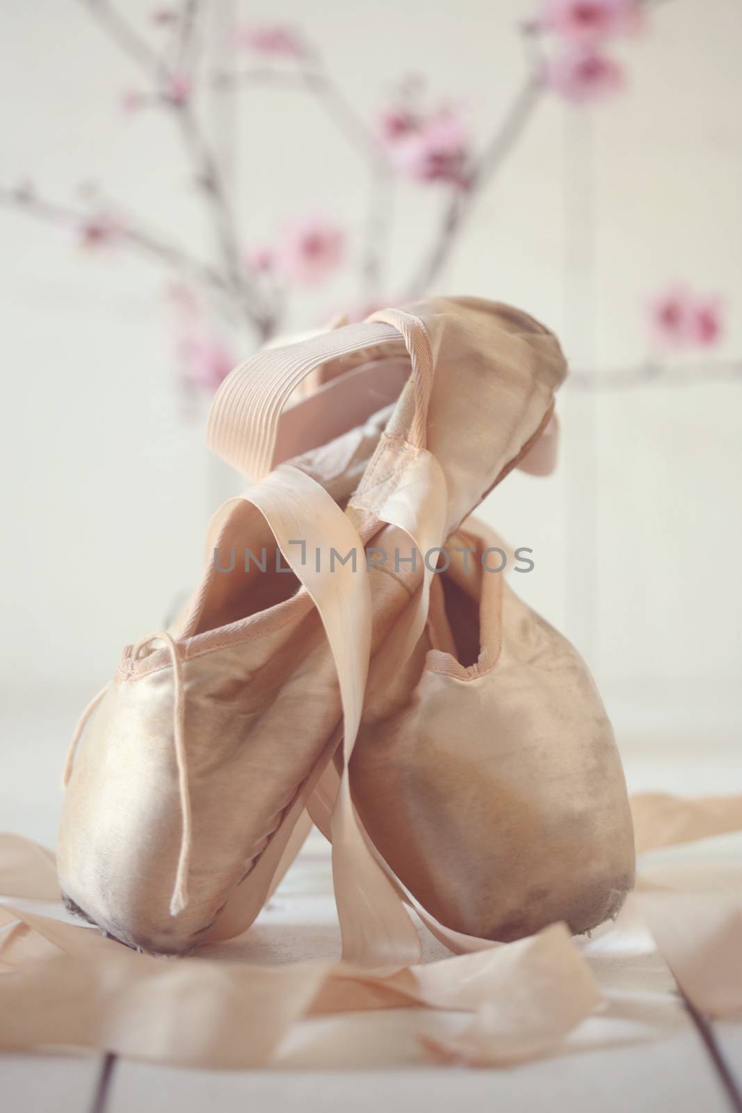 Posed Pointe Shoes in Natural Light  by tobkatrina