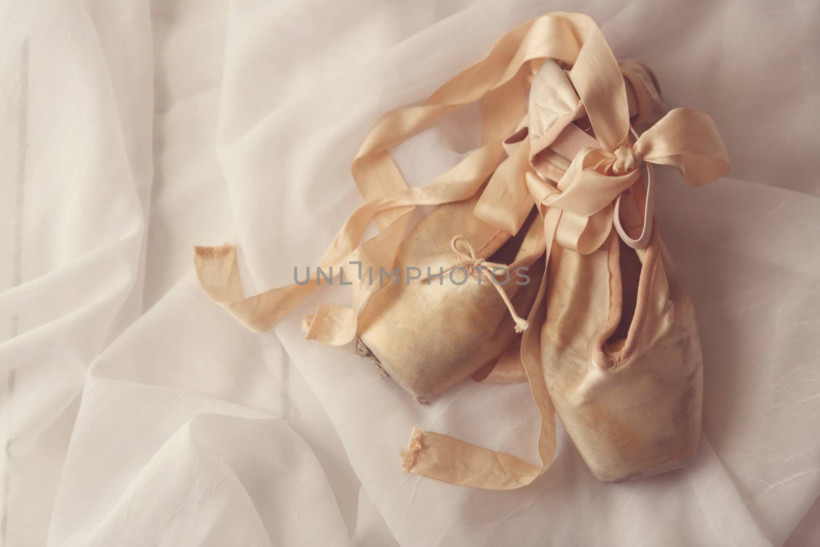 Romantic Posed Pointe Shoes in Natural Light 