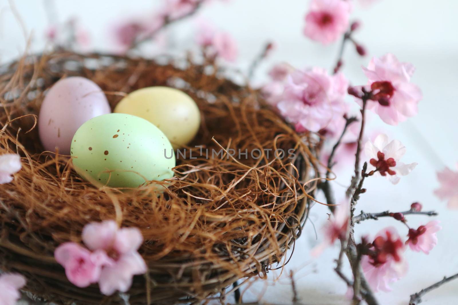 Easter Holiday Themed Still Life Scene in Natural Light by tobkatrina