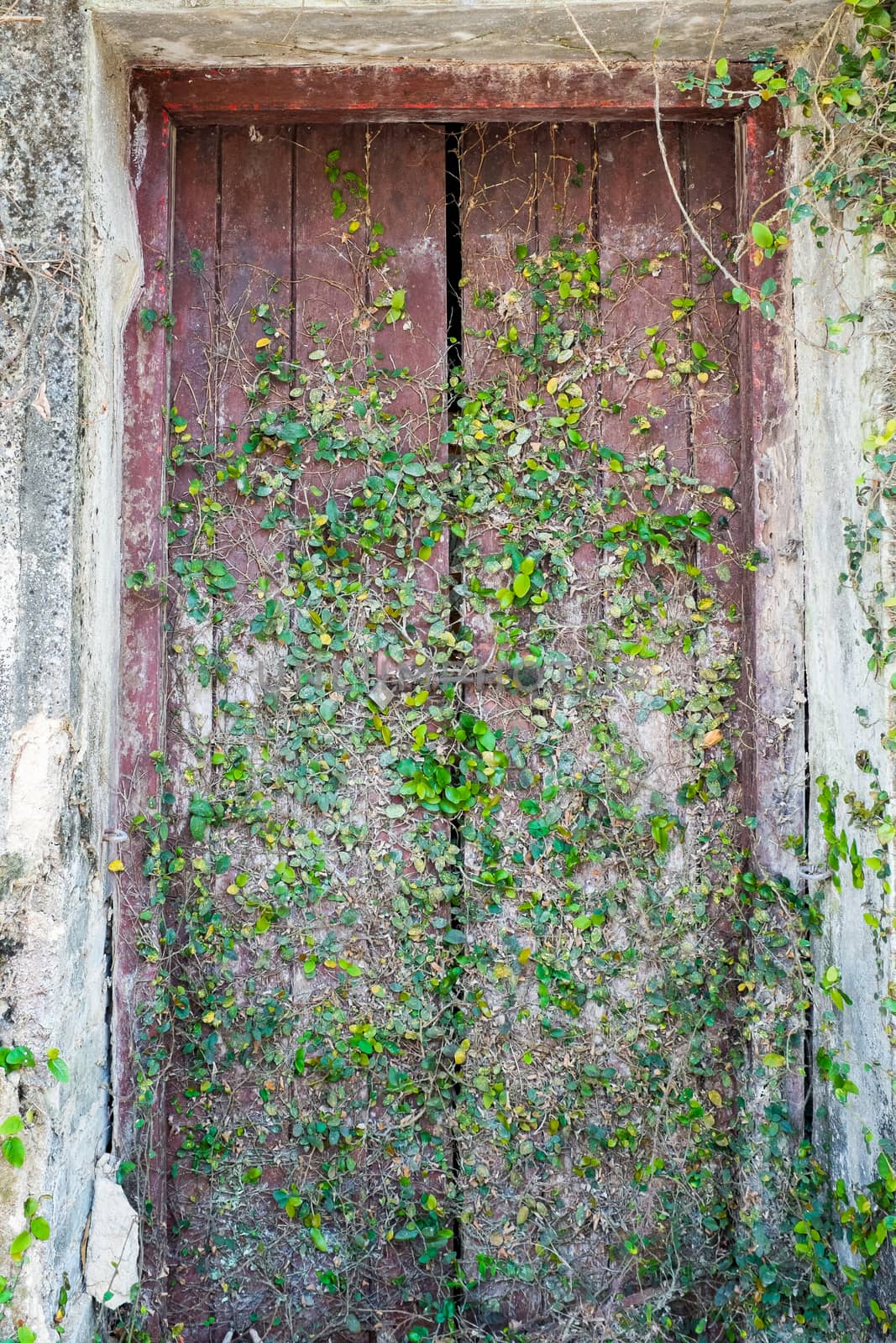 Front view of old wooden door, Asia