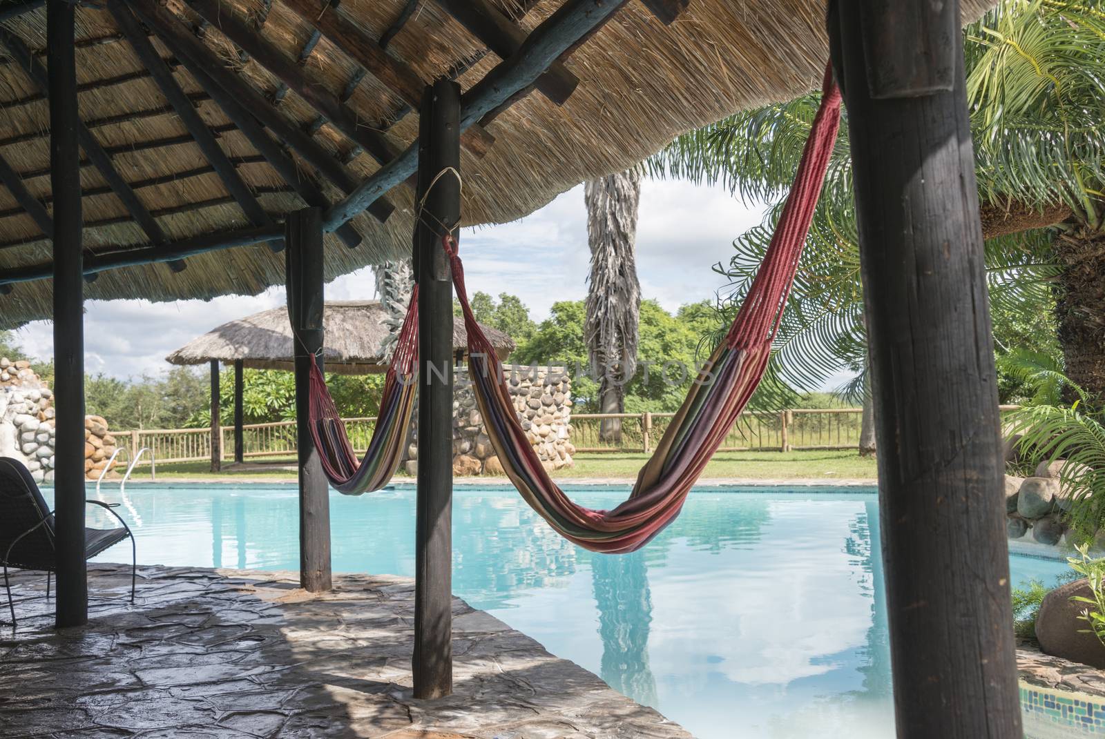 tropical swimming pool with palm trees by compuinfoto