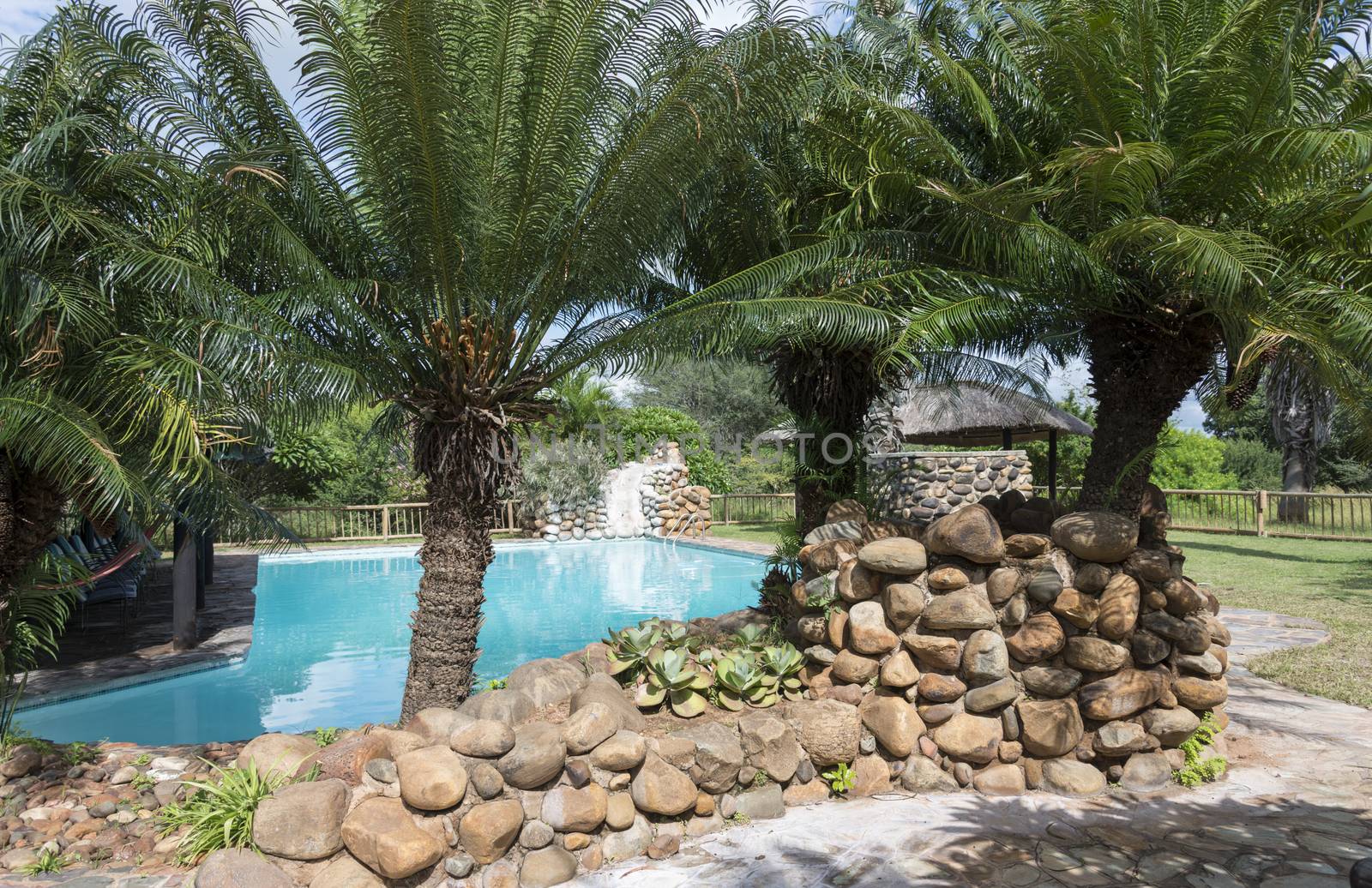 tropical swimming pool with palm trees by compuinfoto