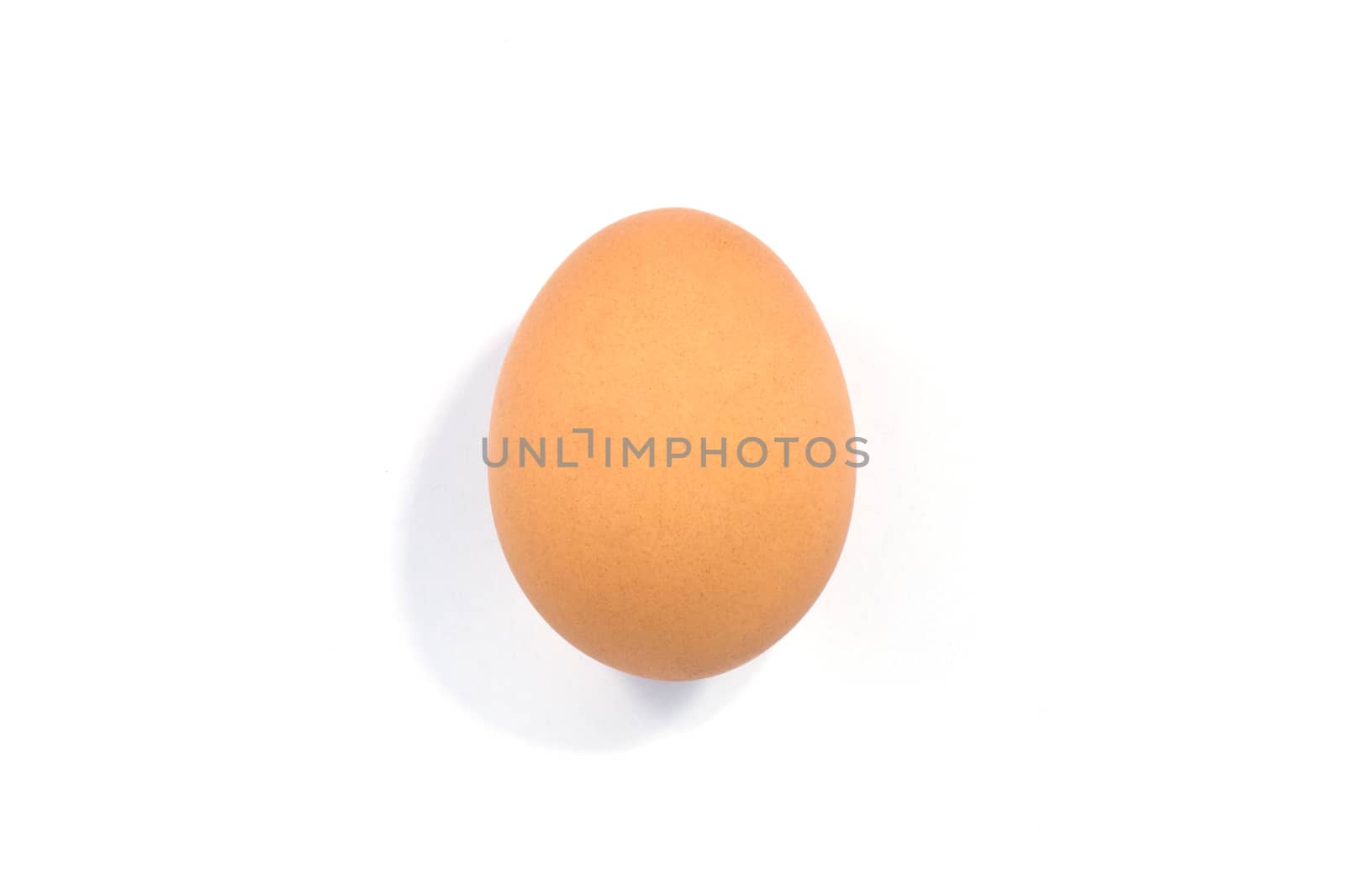 close up of egg on white background
