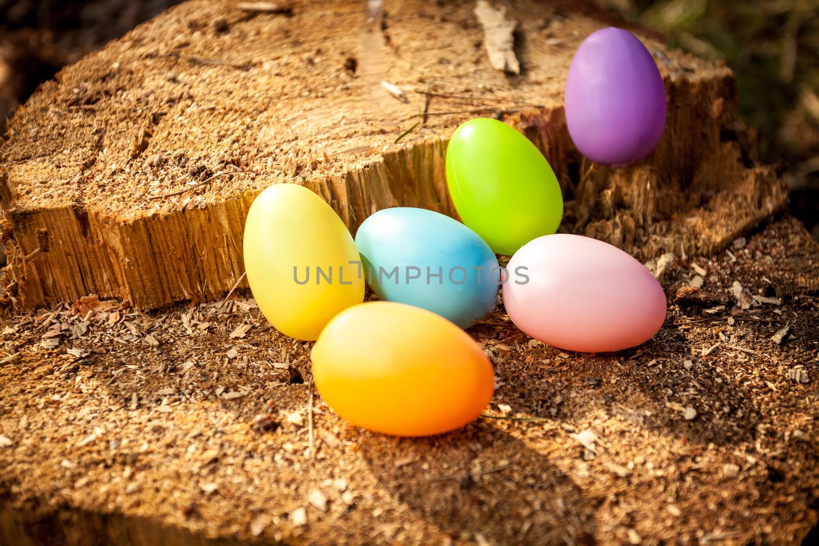 colorful easter eggs on wooden stump by Kryzhov