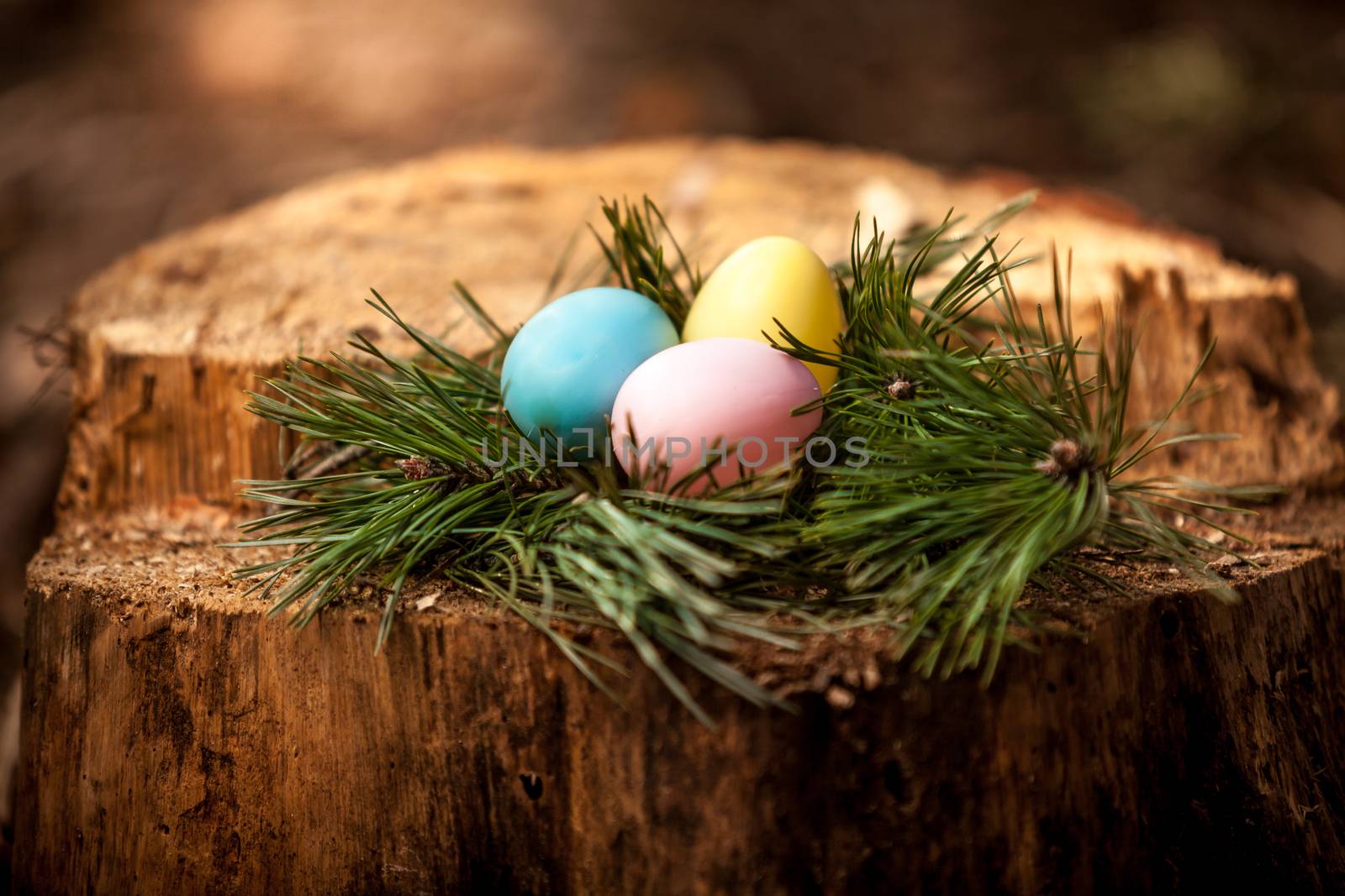 Shot of easter eggs lying on stump