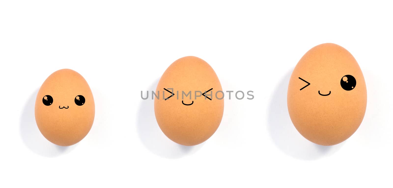 close up of egg on white background