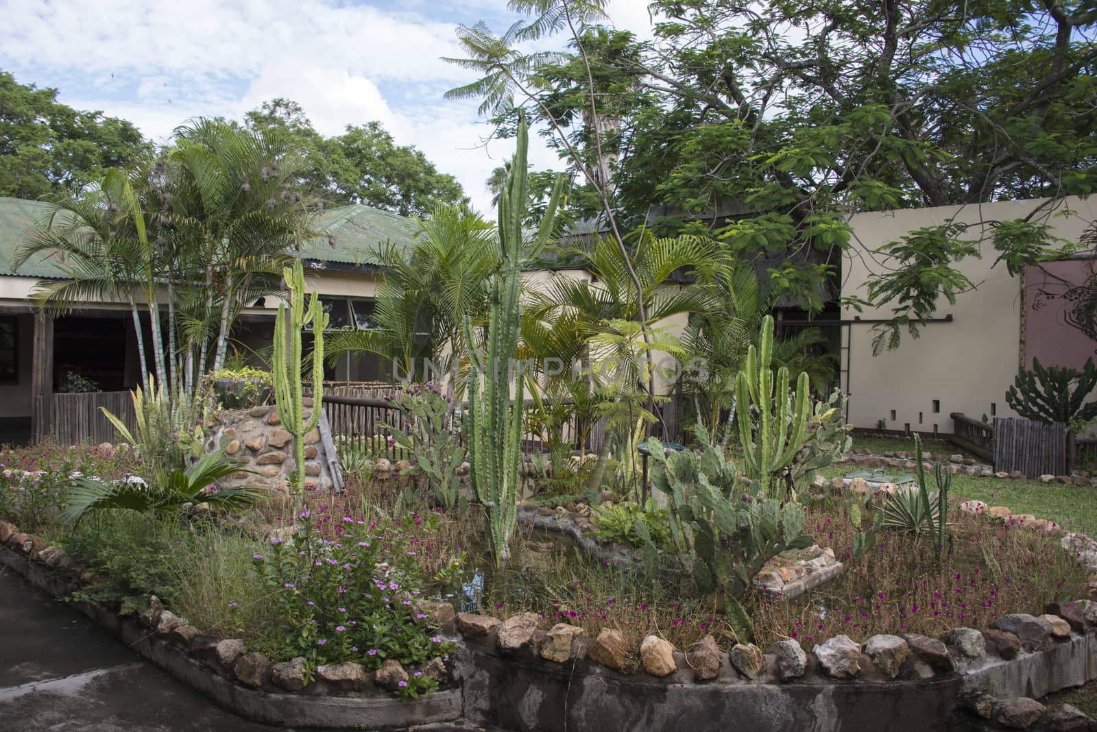 patio garden inside lodge sout africa