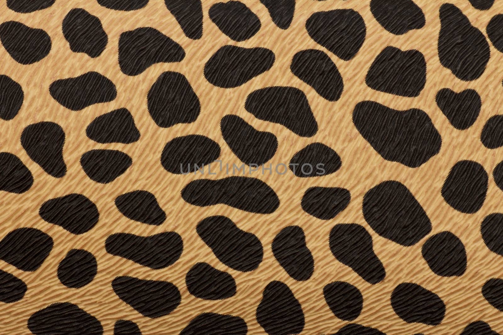 closeup of tiger texture