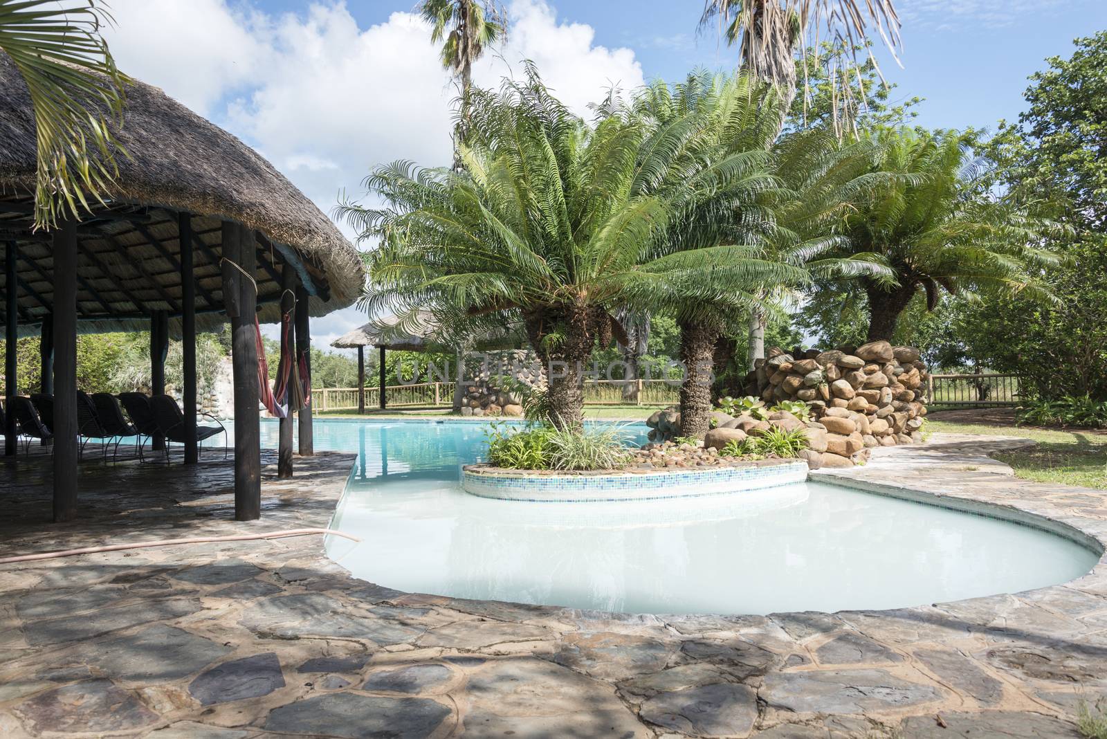 tropical swimming pool with palm trees in lodge south africa