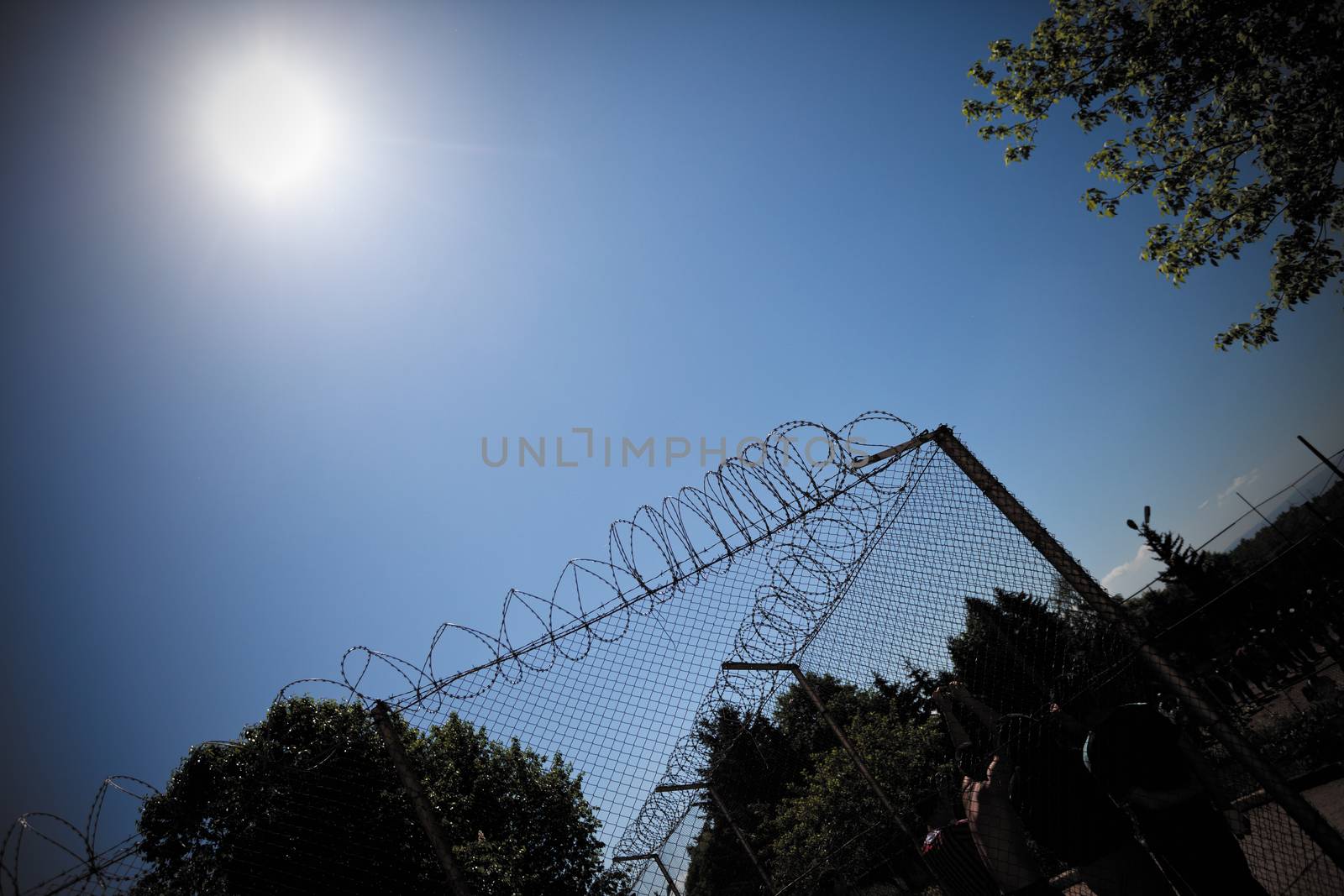 steel wired fence of a prison with skies and sun abeve