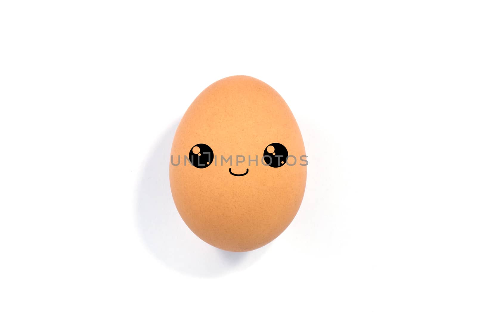 close up of egg on white background