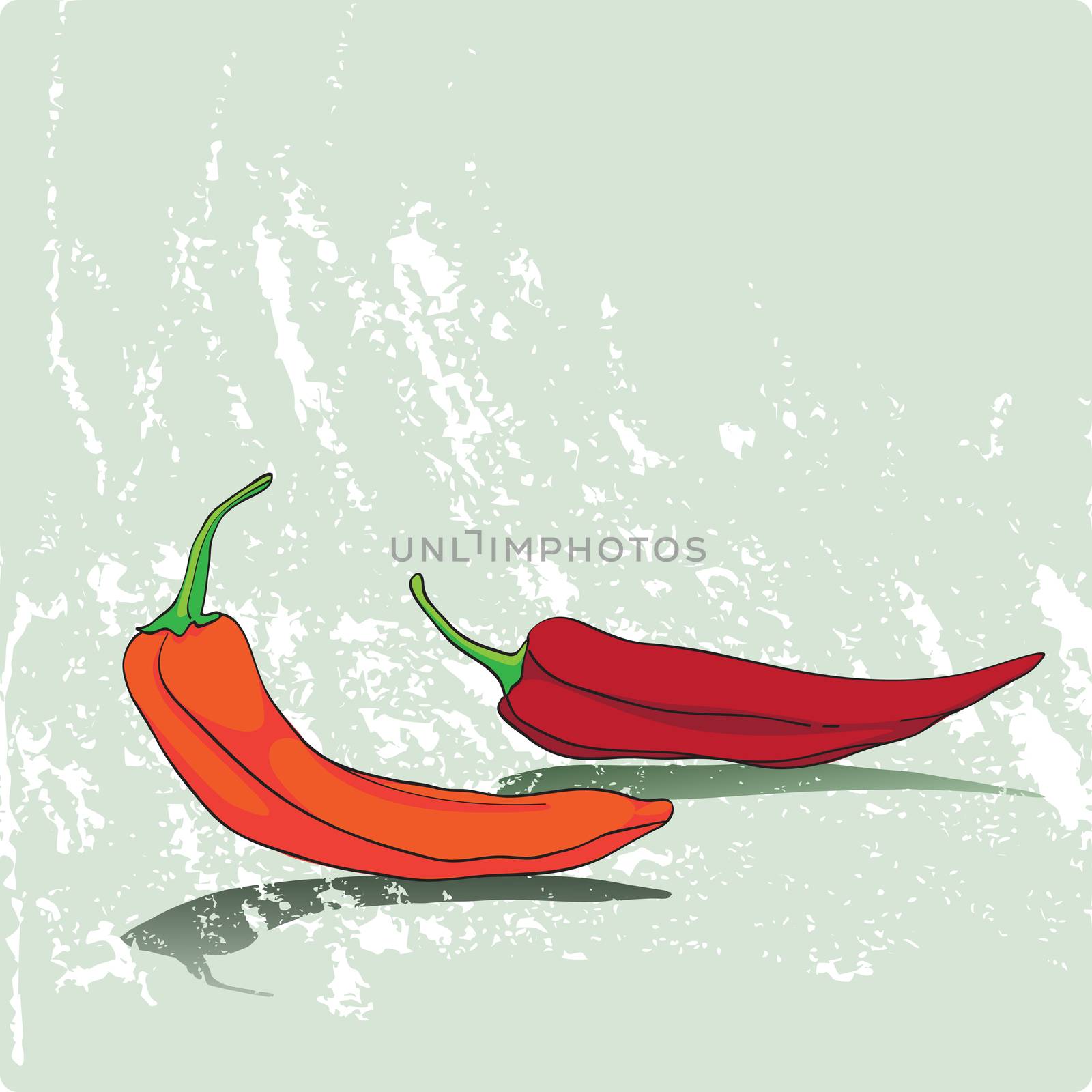 Hand drawn cartoon illustration representing two peppers on a grungy faded green background